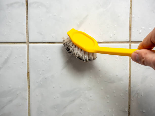 Best Same-Day Mold Removal  in George West, TX