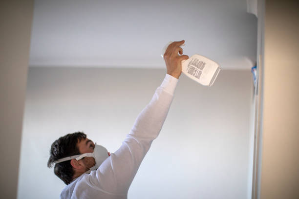 George West, TX Mold Removal Company