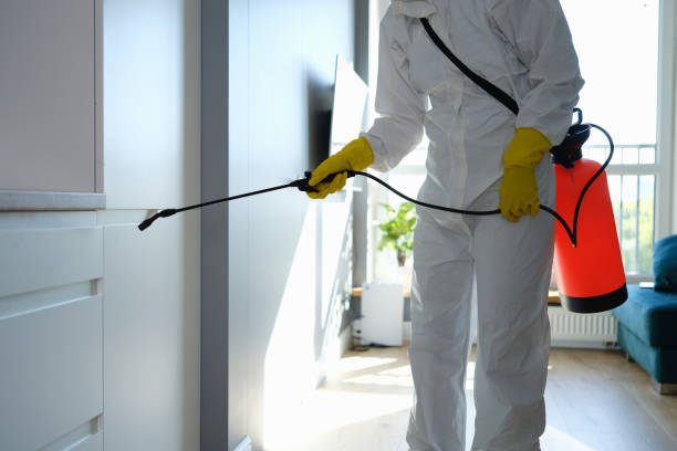 Best Best Mold Removal Companies  in George West, TX