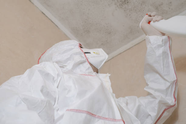 Best Mold Damage Repair  in George West, TX