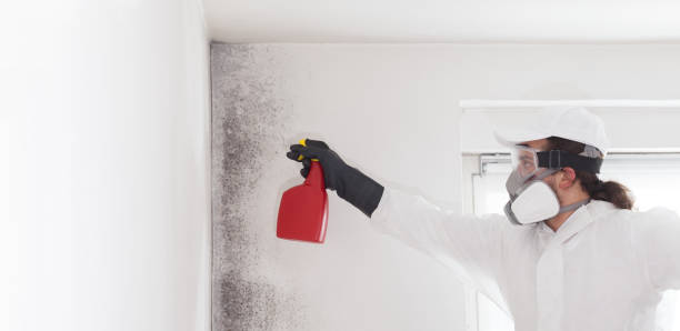 Best Mold Removal and Inspection  in George West, TX
