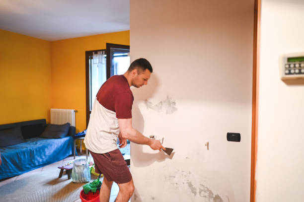 Best Attic Mold Removal  in George West, TX