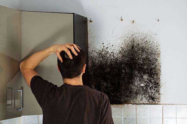 Attic Mold Removal in George West, TX