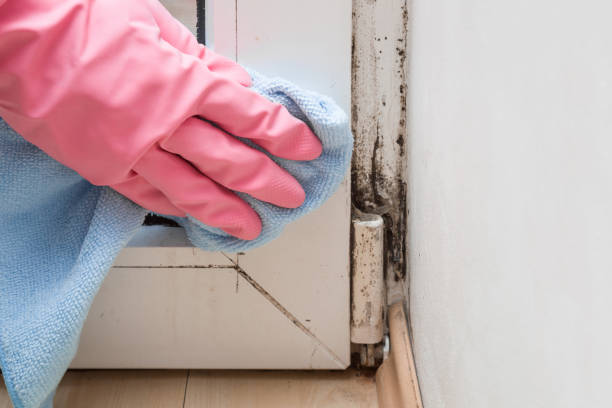Water Damage Restoration in George West, TX