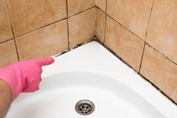 Best Fast Mold Removal  in George West, TX